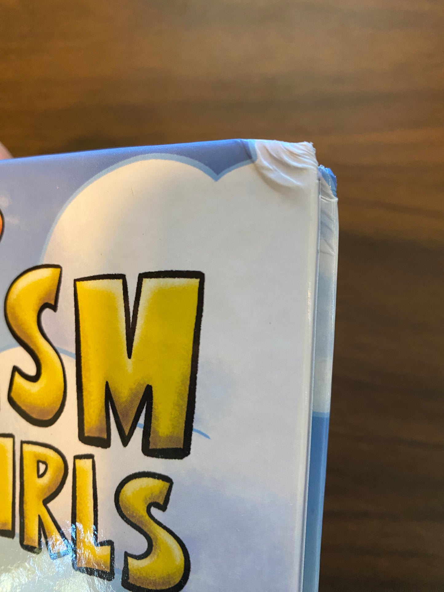 DISCOUNTED: The Illustrated Catechism for Boys and Girls