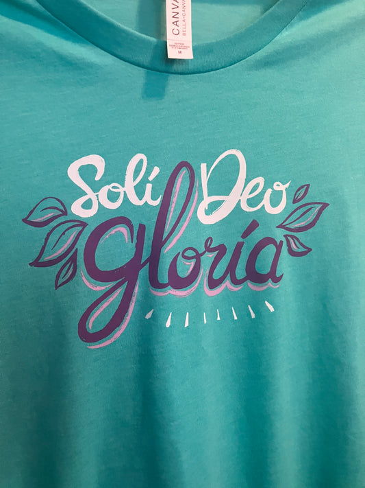 DISCOUNTED: FREE Soli Deo Gloria T-shirt