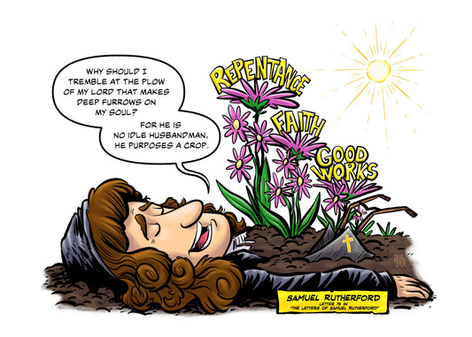 PRINT: Rutherford - Plow