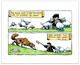 PRINT: John Calvin Two Voices